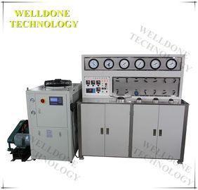 Maszyna do ekstrakcji Co2 w przemyśle farmaceutycznym / spożywczym Wrażliwa na ciepło